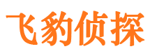 湖滨市侦探